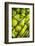 Tennis Balls at the Mediolanum Tennis in Milan-null-Framed Photographic Print