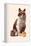 Tennis Cat, 2021 (Digital)-Florent Bodart-Framed Premier Image Canvas