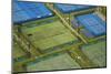 Tennis Courts, Albany, Auckland, North Island, New Zealand-David Wall-Mounted Photographic Print