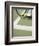 Tennis Player on Court-Tom Grill-Framed Photographic Print