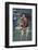 Tennis Pro John McEnroe-David Mcgough-Framed Photographic Print