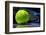 Tennis Racquet Resting on Top of a Tennis Ball-Flynt-Framed Photographic Print