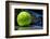 Tennis Racquet Resting on Top of a Tennis Ball-Flynt-Framed Photographic Print