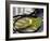 Tennis Still Life-null-Framed Photographic Print