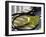 Tennis Still Life-null-Framed Photographic Print