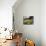 Tennis Still Life-null-Mounted Photographic Print displayed on a wall