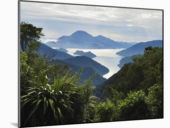 Tennyson Inlet, Marlborough Sounds, Marlborough, South Island, New Zealand, Pacific-Jochen Schlenker-Mounted Photographic Print