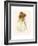 Tennyson's Madeline-Marcus Stone-Framed Giclee Print