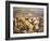 Tenochtitlan (Mexico City)-Diego Rivera-Framed Giclee Print