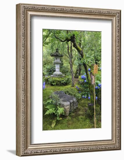 Tenryu-Ji Temple Garden, Japan-Eleanor Scriven-Framed Photographic Print