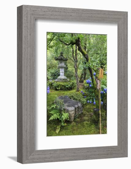 Tenryu-Ji Temple Garden, Japan-Eleanor Scriven-Framed Photographic Print