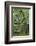 Tenryu-Ji Temple Garden, Japan-Eleanor Scriven-Framed Photographic Print