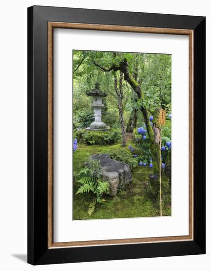 Tenryu-Ji Temple Garden, Japan-Eleanor Scriven-Framed Photographic Print