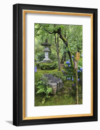 Tenryu-Ji Temple Garden, Japan-Eleanor Scriven-Framed Photographic Print