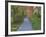 Tenryuji Temple Garden, Sagano, Arashiyama, Kyoto, Japan-Rob Tilley-Framed Photographic Print