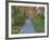 Tenryuji Temple Garden, Sagano, Arashiyama, Kyoto, Japan-Rob Tilley-Framed Photographic Print