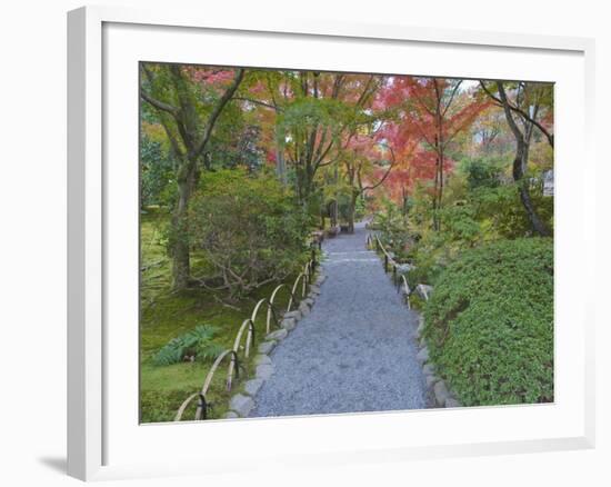 Tenryuji Temple Garden, Sagano, Arashiyama, Kyoto, Japan-Rob Tilley-Framed Photographic Print