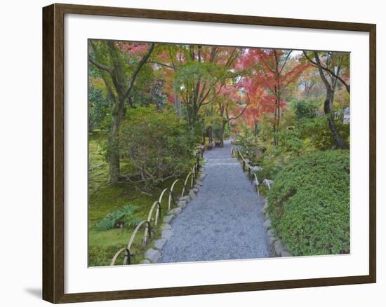 Tenryuji Temple Garden, Sagano, Arashiyama, Kyoto, Japan-Rob Tilley-Framed Photographic Print