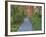 Tenryuji Temple Garden, Sagano, Arashiyama, Kyoto, Japan-Rob Tilley-Framed Photographic Print