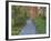 Tenryuji Temple Garden, Sagano, Arashiyama, Kyoto, Japan-Rob Tilley-Framed Photographic Print