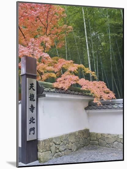 Tenryuji Temple Garden, Sagano, Arashiyama, Kyoto, Japan-Rob Tilley-Mounted Photographic Print