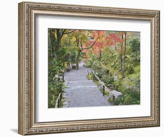 Tenryuji Temple Garden, Sagano, Arashiyama, Kyoto, Japan-Rob Tilley-Framed Photographic Print