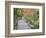 Tenryuji Temple Garden, Sagano, Arashiyama, Kyoto, Japan-Rob Tilley-Framed Photographic Print