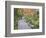 Tenryuji Temple Garden, Sagano, Arashiyama, Kyoto, Japan-Rob Tilley-Framed Photographic Print