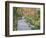 Tenryuji Temple Garden, Sagano, Arashiyama, Kyoto, Japan-Rob Tilley-Framed Photographic Print