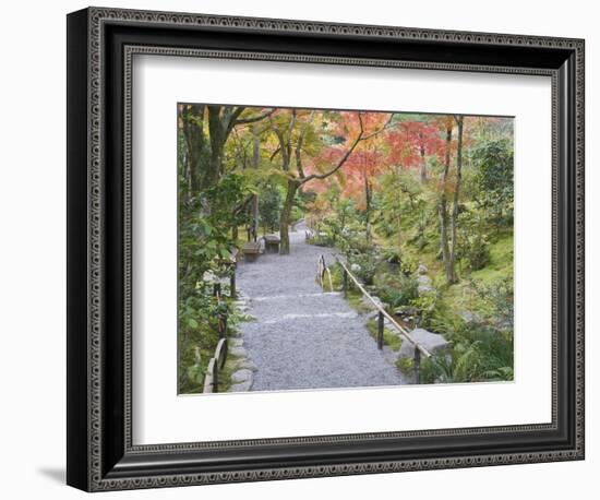 Tenryuji Temple Garden, Sagano, Arashiyama, Kyoto, Japan-Rob Tilley-Framed Photographic Print