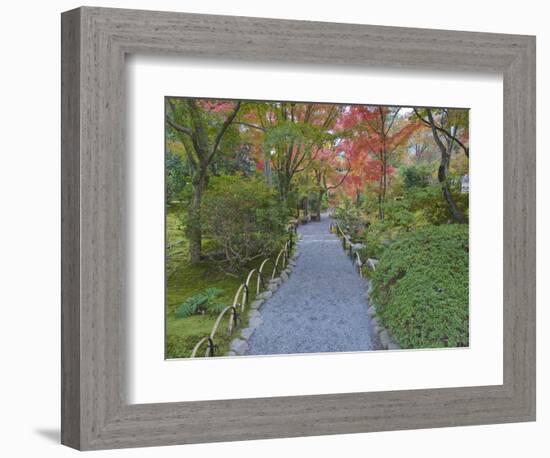 Tenryuji Temple Garden, Sagano, Arashiyama, Kyoto, Japan-Rob Tilley-Framed Photographic Print