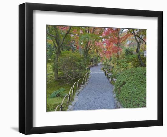 Tenryuji Temple Garden, Sagano, Arashiyama, Kyoto, Japan-Rob Tilley-Framed Photographic Print