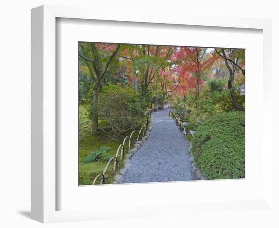 Tenryuji Temple Garden, Sagano, Arashiyama, Kyoto, Japan-Rob Tilley-Framed Photographic Print