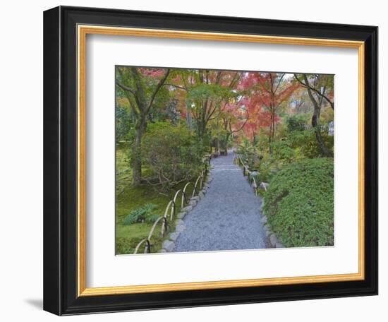 Tenryuji Temple Garden, Sagano, Arashiyama, Kyoto, Japan-Rob Tilley-Framed Photographic Print
