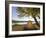 Tent at Judith River Campsite on the Upper Missouri River Breaks National Monument, Montana, Usa-Chuck Haney-Framed Photographic Print