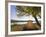 Tent at Judith River Campsite on the Upper Missouri River Breaks National Monument, Montana, Usa-Chuck Haney-Framed Photographic Print