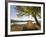 Tent at Judith River Campsite on the Upper Missouri River Breaks National Monument, Montana, Usa-Chuck Haney-Framed Photographic Print