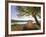 Tent at Judith River Campsite on the Upper Missouri River Breaks National Monument, Montana, Usa-Chuck Haney-Framed Photographic Print