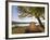 Tent at Judith River Campsite on the Upper Missouri River Breaks National Monument, Montana, Usa-Chuck Haney-Framed Photographic Print