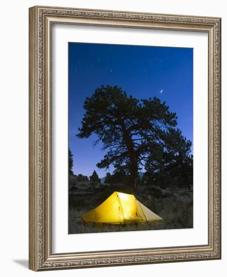 Tent Illuminated Under the Night Sky, Rocky Mountain National Park, Colorado, USA-Christian Kober-Framed Photographic Print