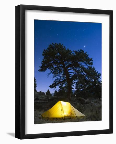 Tent Illuminated Under the Night Sky, Rocky Mountain National Park, Colorado, USA-Christian Kober-Framed Photographic Print