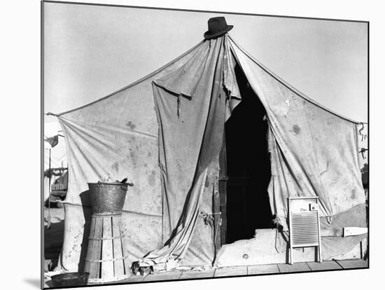 Tent in Labor Camp-Dorothea Lange-Mounted Photographic Print