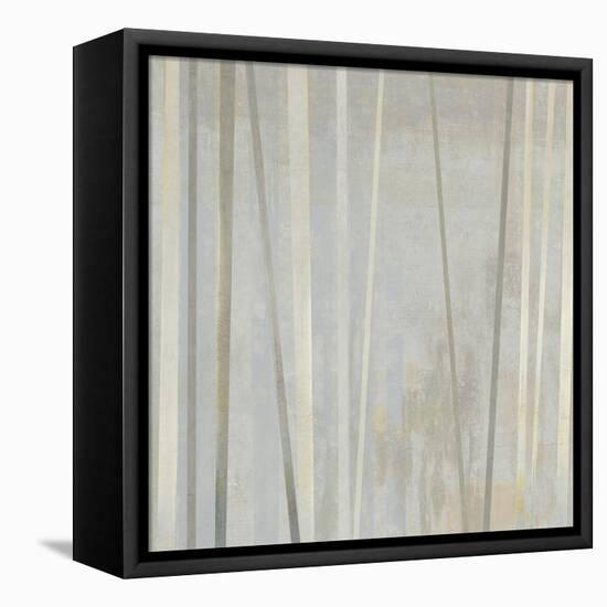 Tenuous II-Anna Polanski-Framed Stretched Canvas