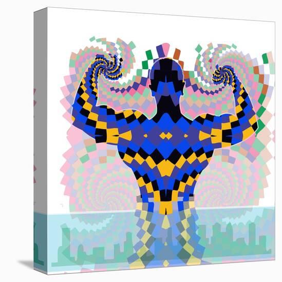 Stretched Canvas Print, , large