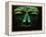 Teotihuacan Mosaic Sculpture Mask-Randy Faris-Framed Premier Image Canvas