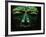 Teotihuacan Mosaic Sculpture Mask-Randy Faris-Framed Photographic Print