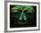 Teotihuacan Mosaic Sculpture Mask-Randy Faris-Framed Photographic Print