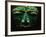 Teotihuacan Mosaic Sculpture Mask-Randy Faris-Framed Photographic Print