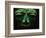 Teotihuacan Mosaic Sculpture Mask-Randy Faris-Framed Photographic Print