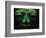 Teotihuacan Mosaic Sculpture Mask-Randy Faris-Framed Photographic Print